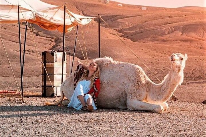 Atlas Mountains and 3 Valleys & Waterfalls - Camel ride Marrakech