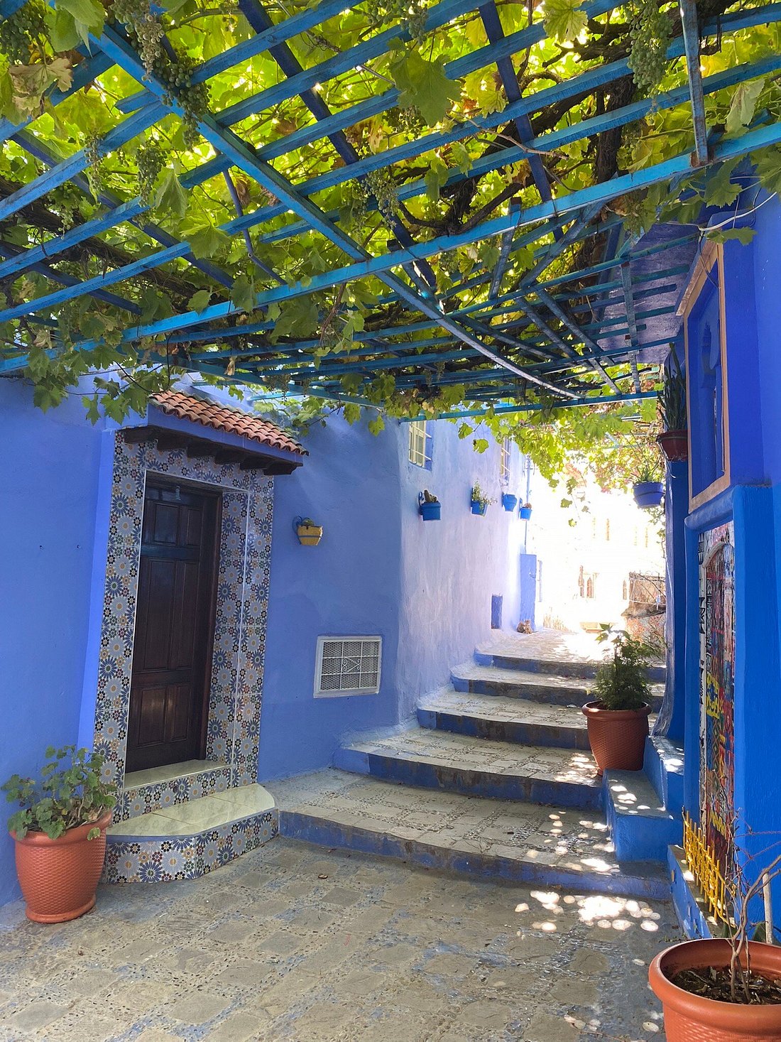 Private walking tour of Chefchaouen (The blue city)